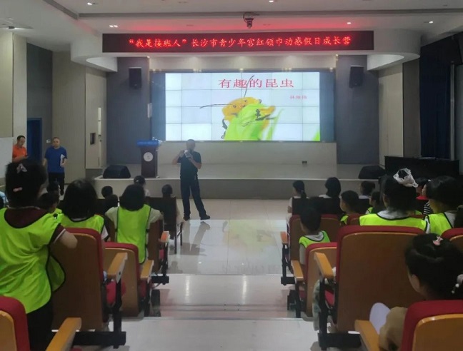 回顾 |“有趣的昆虫”——长沙市青少年宫“健康成长大课堂”第28期圆满完成